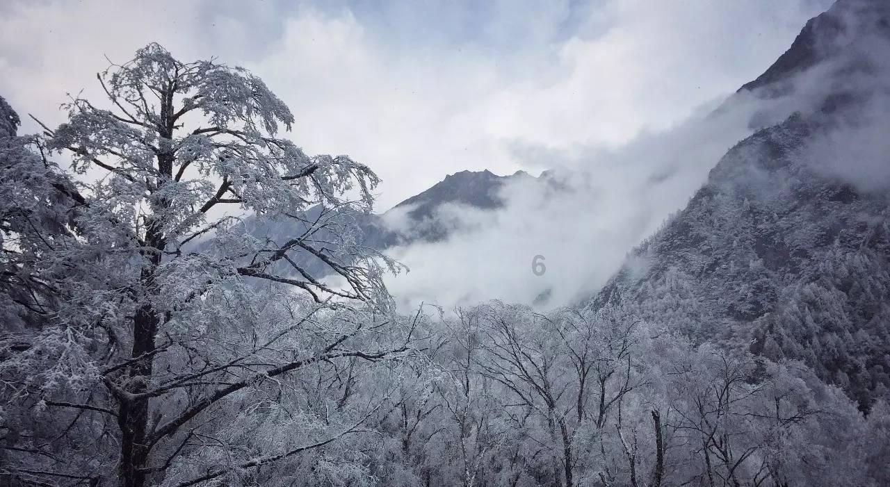 田坤道:种类多到挑花眼,食用油到底应该怎么选?