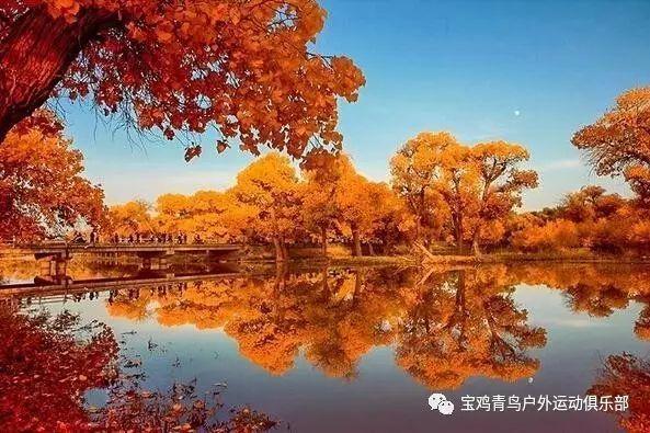 小猫钓鱼游戏龙王版有船
