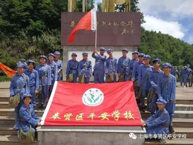 森林的奇迹
