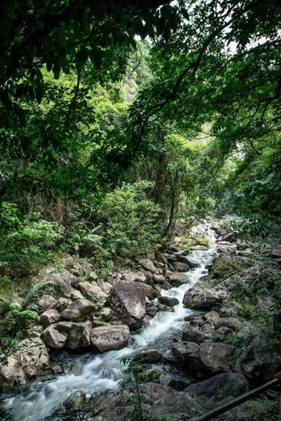 全场战报|山东男篮112:105龙狮,全队5人得分上双