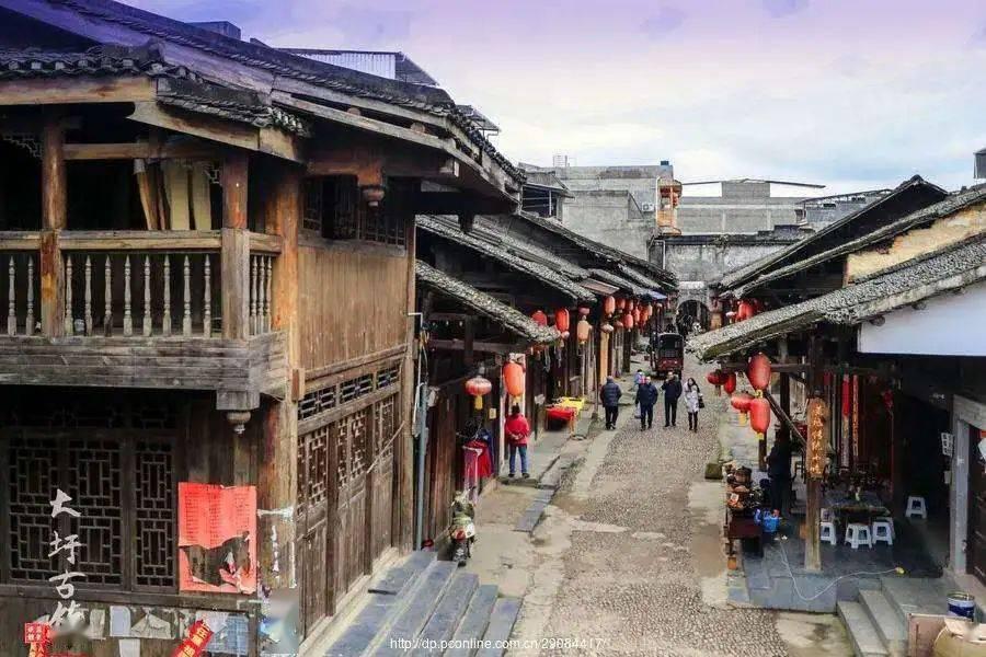 拯救精灵的土地6