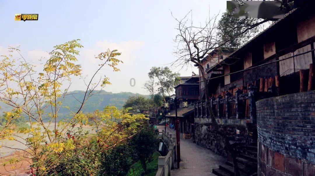 探索90岁杨少华近况堪忧,说话吐词不清表情呆滞,你怎么看?的知识星球平台,广度深度并存